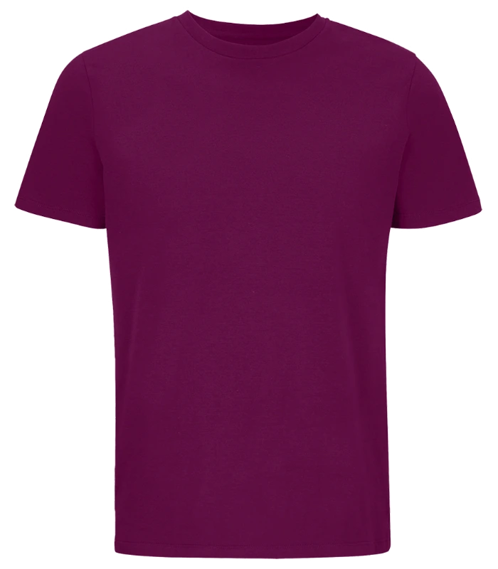 SOL'S SOL'S Unisex Legend Organic T-Shirt in APUR