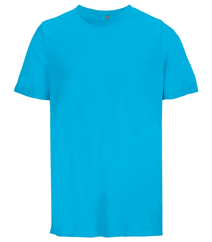 SOL'S SOL'S Unisex Legend Organic T-Shirt in AQA