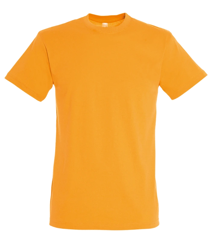 SOL'S SOL'S Regent T-Shirt in APR