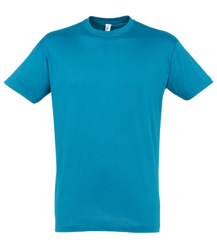 SOL'S SOL'S Regent T-Shirt in AQA