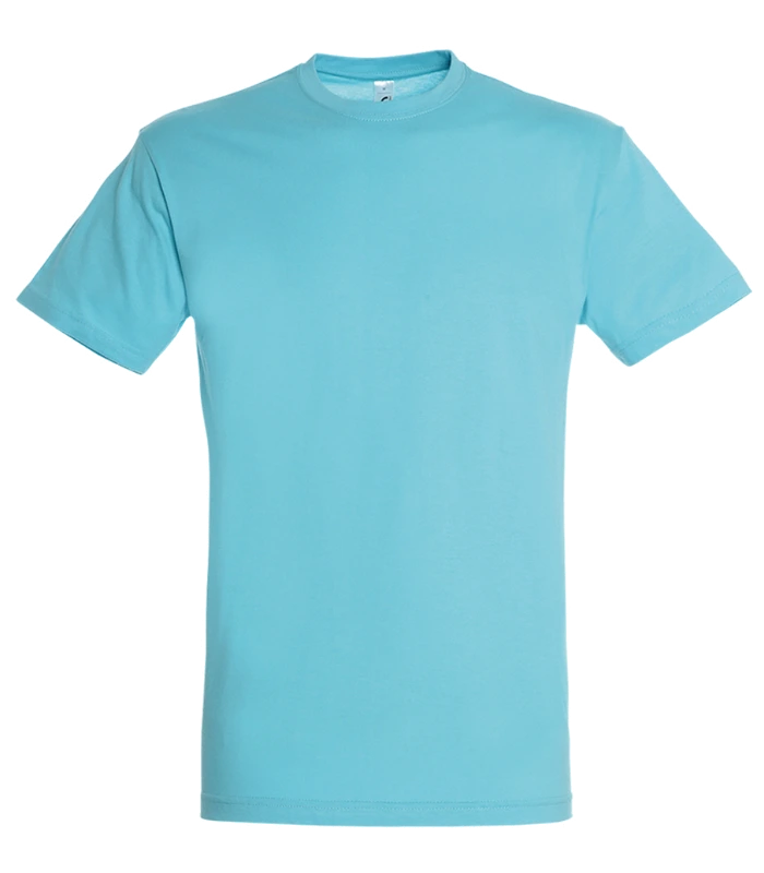 SOL'S SOL'S Regent T-Shirt in ATO