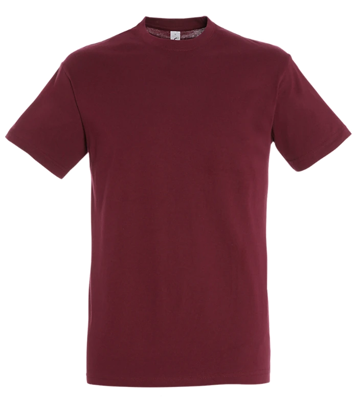SOL'S SOL'S Regent T-Shirt in BUR
