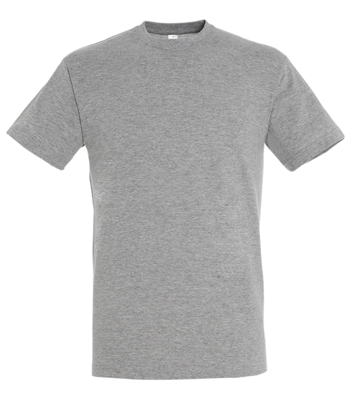 SOL'S SOL'S Regent T-Shirt in GYM