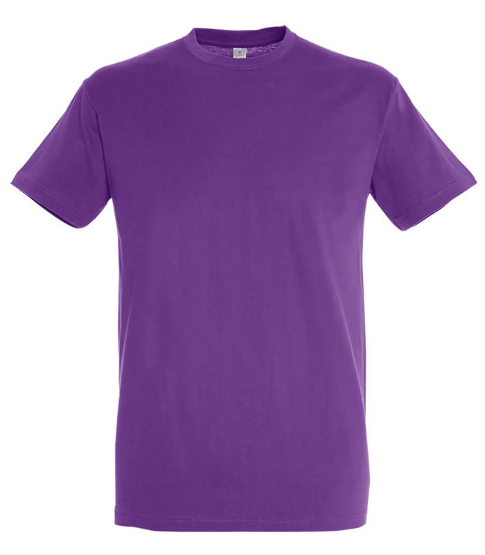 SOL'S SOL'S Regent T-Shirt in LTP