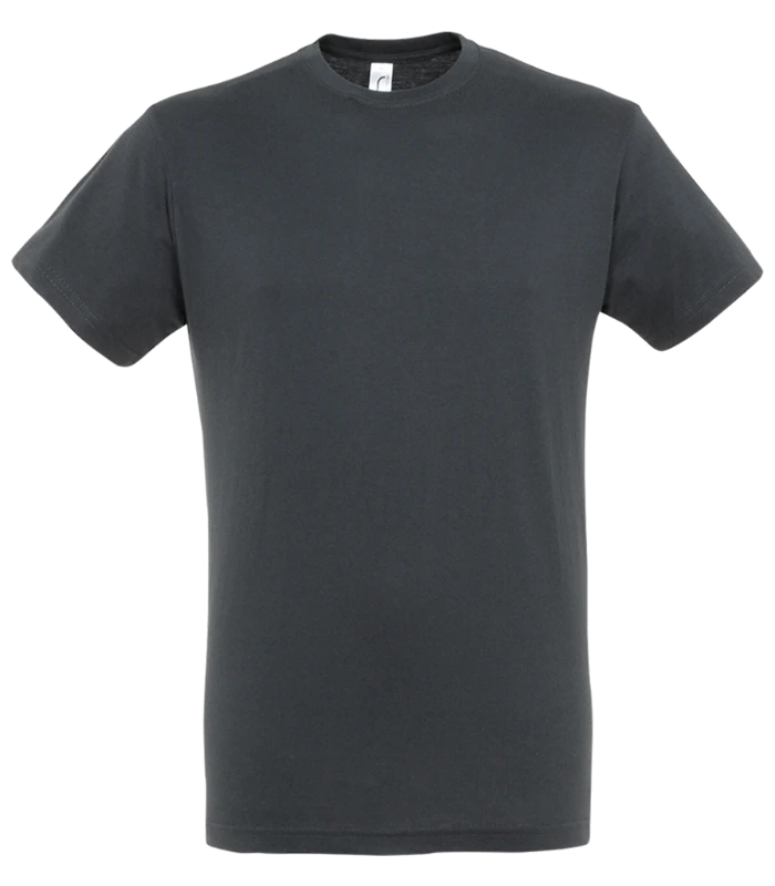 SOL'S SOL'S Regent T-Shirt in MGY