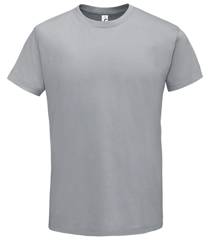 SOL'S SOL'S Regent T-Shirt in PGE