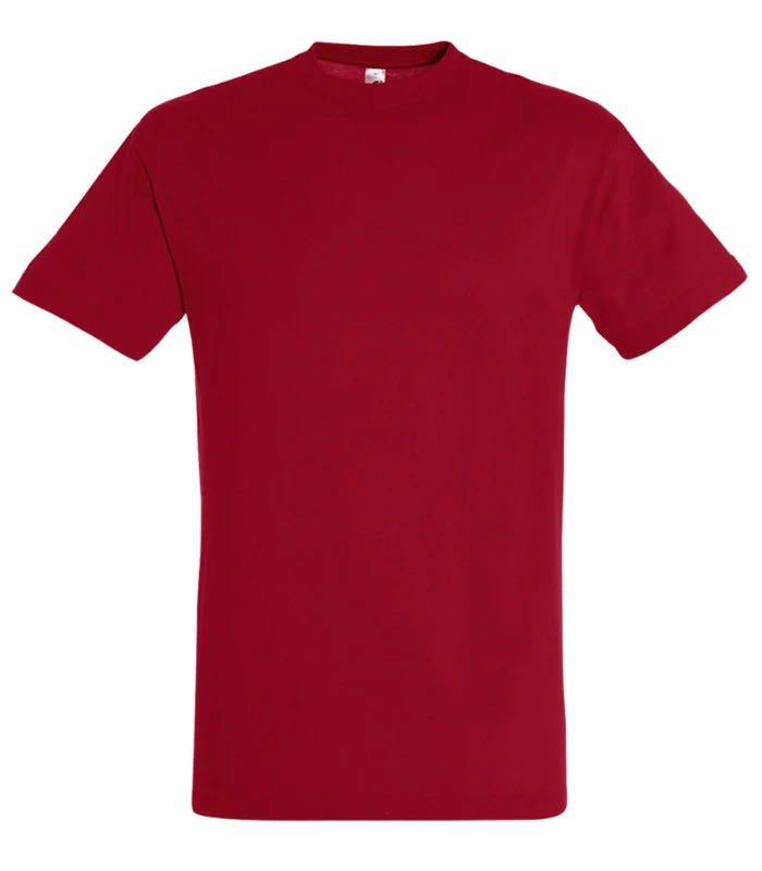SOL'S SOL'S Regent T-Shirt in TGR