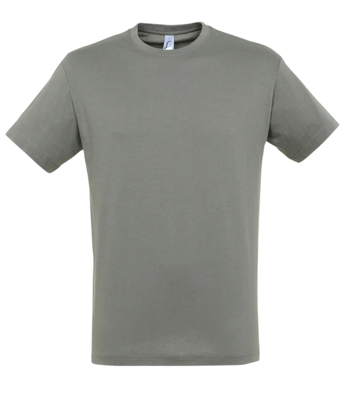 SOL'S SOL'S Regent T-Shirt in ZIN