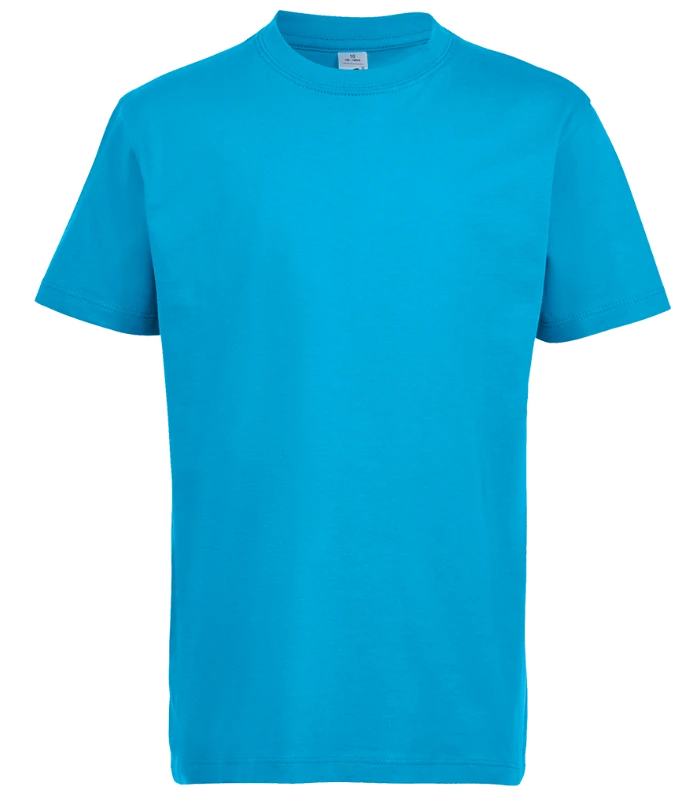 SOL'S SOL'S Kids Imperial Heavy T-Shirt in AQA