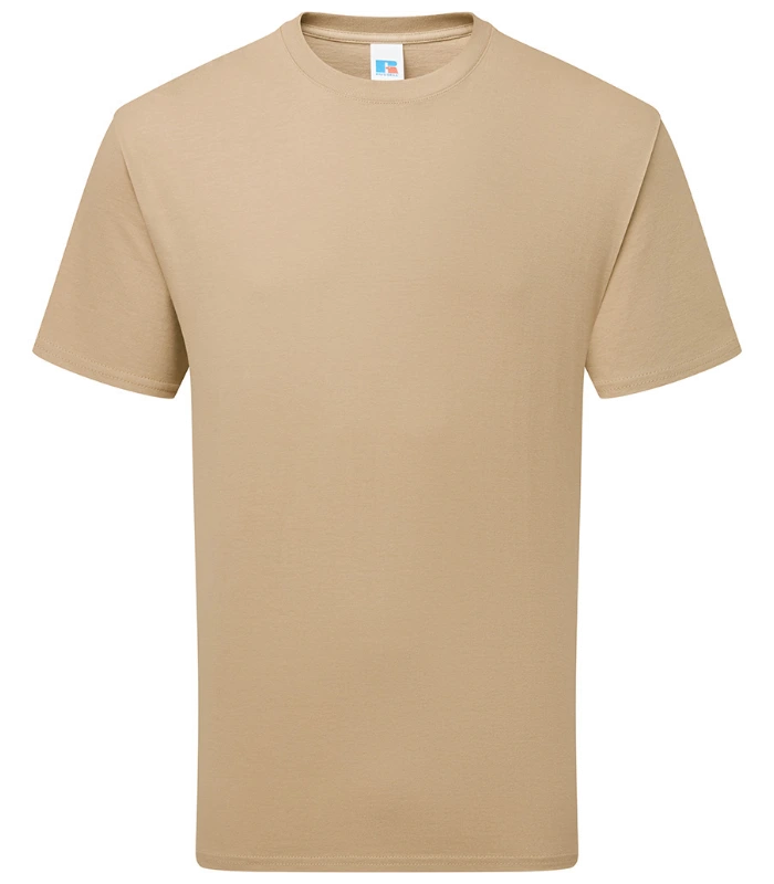 Russell Athletic Russell Athletic Authentic Heavyweight T-Shirt in Tan