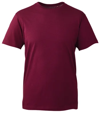 Anthem Anthem Organic T-Shirt in Burgundy