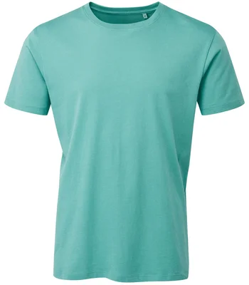Anthem Anthem Organic T-Shirt in Teal