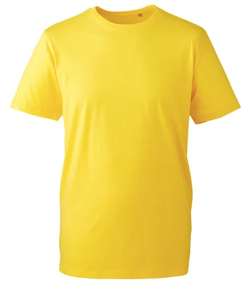 Anthem Anthem Organic T-Shirt in Yellow