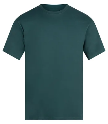 Anthem Anthem Unisex Organic Midweight T-Shirt in Pine Green