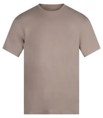 Anthem Anthem Unisex Organic Midweight T-Shirt in Stone