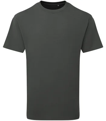 Anthem Anthem Unisex Organic Heavyweight T-Shirt in Carbon
