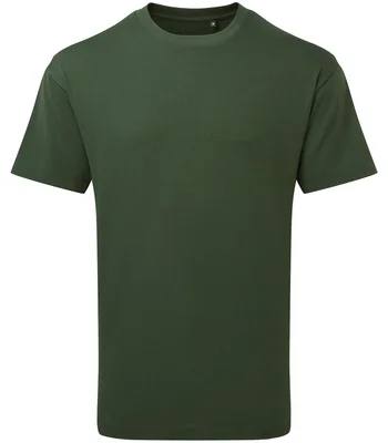 Anthem Anthem Unisex Organic Heavyweight T-Shirt in Forest Green