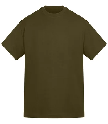 Anthem Anthem Amplify Heavyweight T-Shirt in Khaki