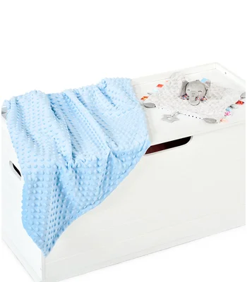 Brand Lab Brand Lab Minky Fleece Blanket in Light Blue