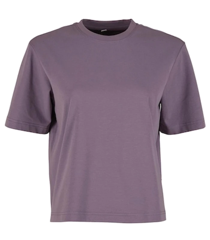 Build Your Brand Build Your Brand Womens Sorona loose-fit tee in Dusty Purple