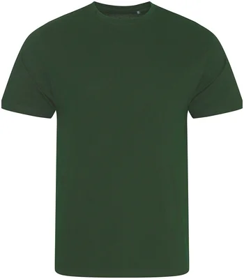 Ecologie Ecologie Cascades Organic T-Shirt in Bottle Green