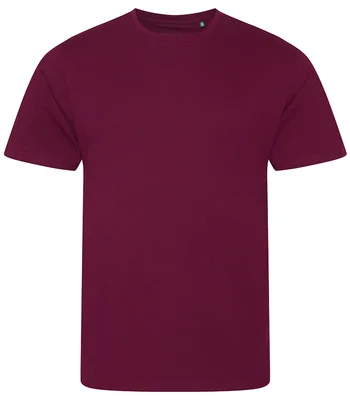 Ecologie Ecologie Cascades Organic T-Shirt in Burgundy