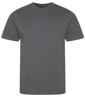 Ecologie Ecologie Cascades Organic T-Shirt in Charcoal