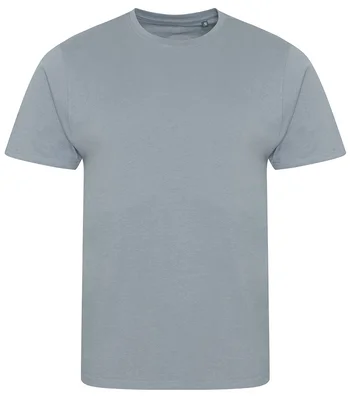 Ecologie Ecologie Cascades Organic T-Shirt in Heather Grey