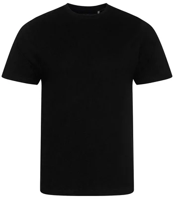 Ecologie Ecologie Cascades Organic T-Shirt in Jet Black