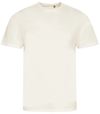 Ecologie Ecologie Cascades Organic T-Shirt in Natural
