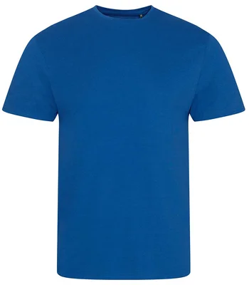 Ecologie Ecologie Cascades Organic T-Shirt in Royal Blue