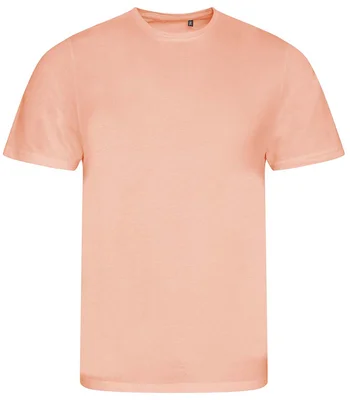 Ecologie Ecologie Cascades Organic T-Shirt in Soft Peach