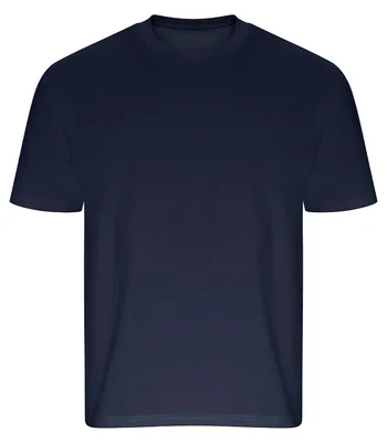 Ecologie Ecologie Arrow Recycled Heavy Oversize T-Shirt in Navy