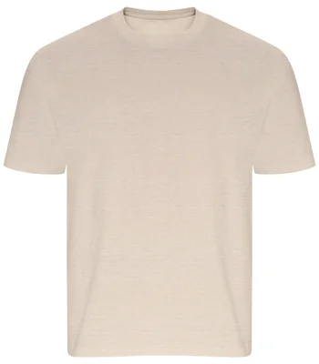 Ecologie Ecologie Arrow Recycled Heavy Oversize T-Shirt in Stone