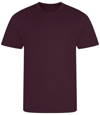 Just Cool AWDis Cool T-Shirt in BUR