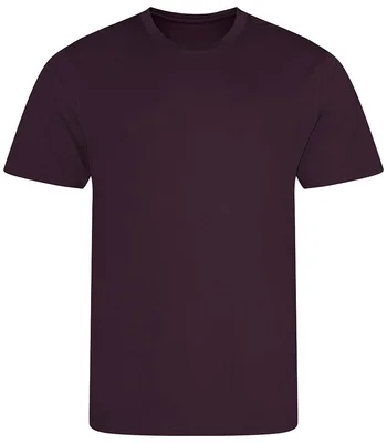 Just Cool AWDis Cool T-Shirt in PLU