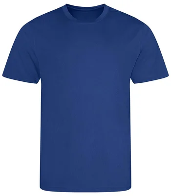 Just Cool AWDis Cool T-Shirt in ROY