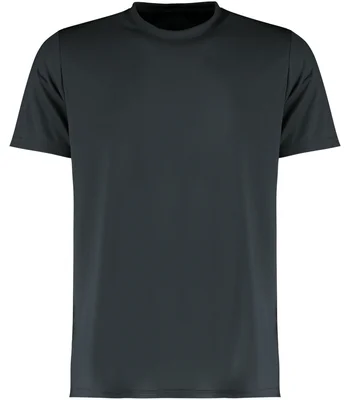 Kustom Kit Kustom Kit Regular Fit Cooltex® Plus Wicking T-Shirt in GPH