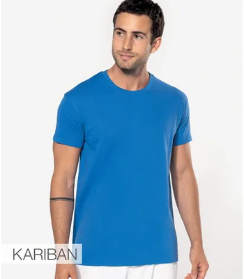 Kariban Kariban BIO150IC Crew Neck T-Shirt in LRY