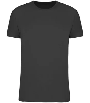 Kariban Kariban Unisex 190IC Crew Neck T-Shirt in DGY
