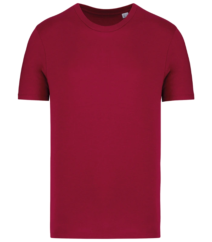 Native Spirit Native Spirit Unisex T-Shirt in HIB