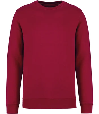 Native Spirit Native Spirit Unisex Crew Neck Sweatshirt in HIB