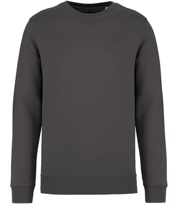 Native Spirit Native Spirit Unisex Crew Neck Sweatshirt in IRN