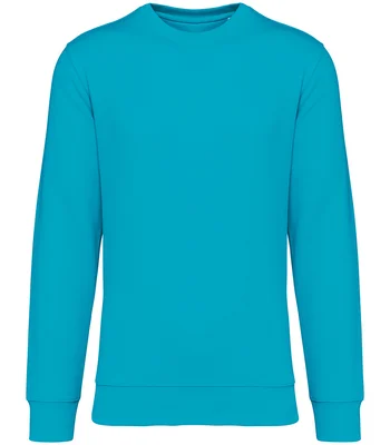 Native Spirit Native Spirit Unisex Crew Neck Sweatshirt in LTU