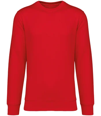 Native Spirit Native Spirit Unisex Crew Neck Sweatshirt in POP