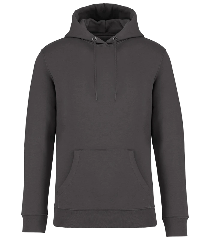 Native Spirit Native Spirit Unisex Heavyweight Hooded Sweatshirt in IRN