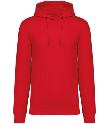 Native Spirit Native Spirit Unisex Heavyweight Hooded Sweatshirt in POP
