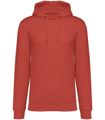 Native Spirit Native Spirit Unisex Heavyweight Hooded Sweatshirt in PPK