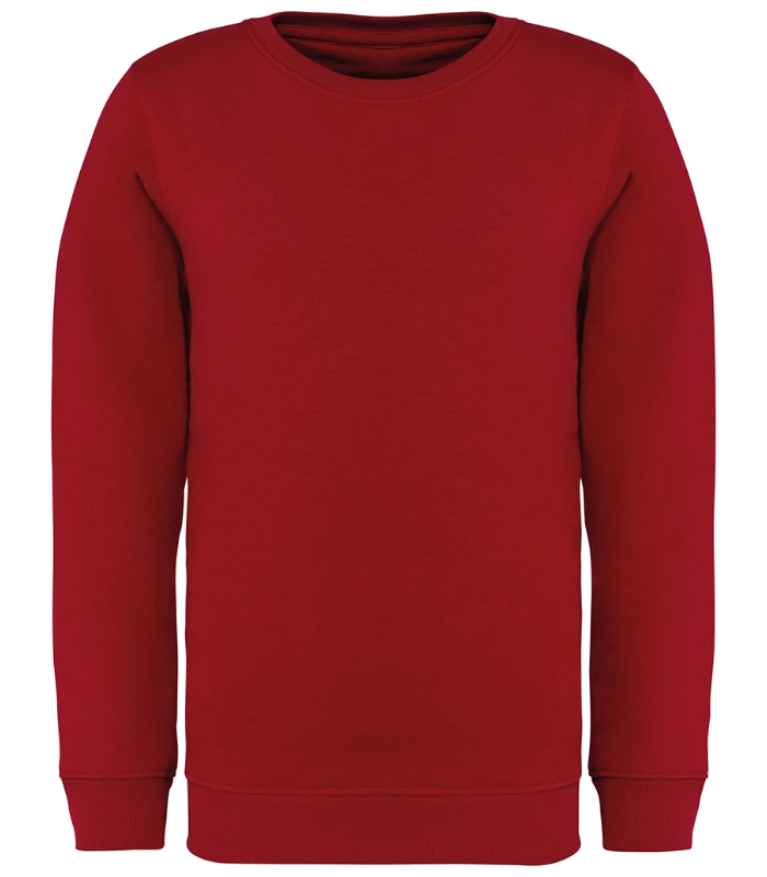 Native Spirit Native Spirit Kids Crew Neck Sweatshirt in HIB