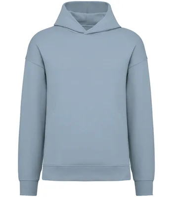 Native Spirit Native Spirit Unisex Oversized Hoodie in AQM